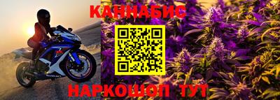 шишки Изобильный