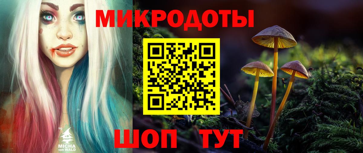 Псилоцибиновые грибы Cubensis Лабытнанги