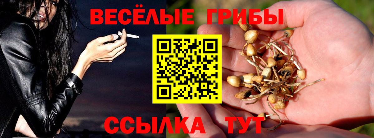 Лабытнанги  Галлюциногенные грибы GOLDEN TEACHER  Вход с VPN  Галлюциногенные грибы прущие грибы 